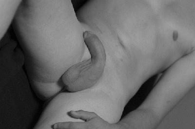 Sexinserat: Wildcat melde dich - Er sucht Sie